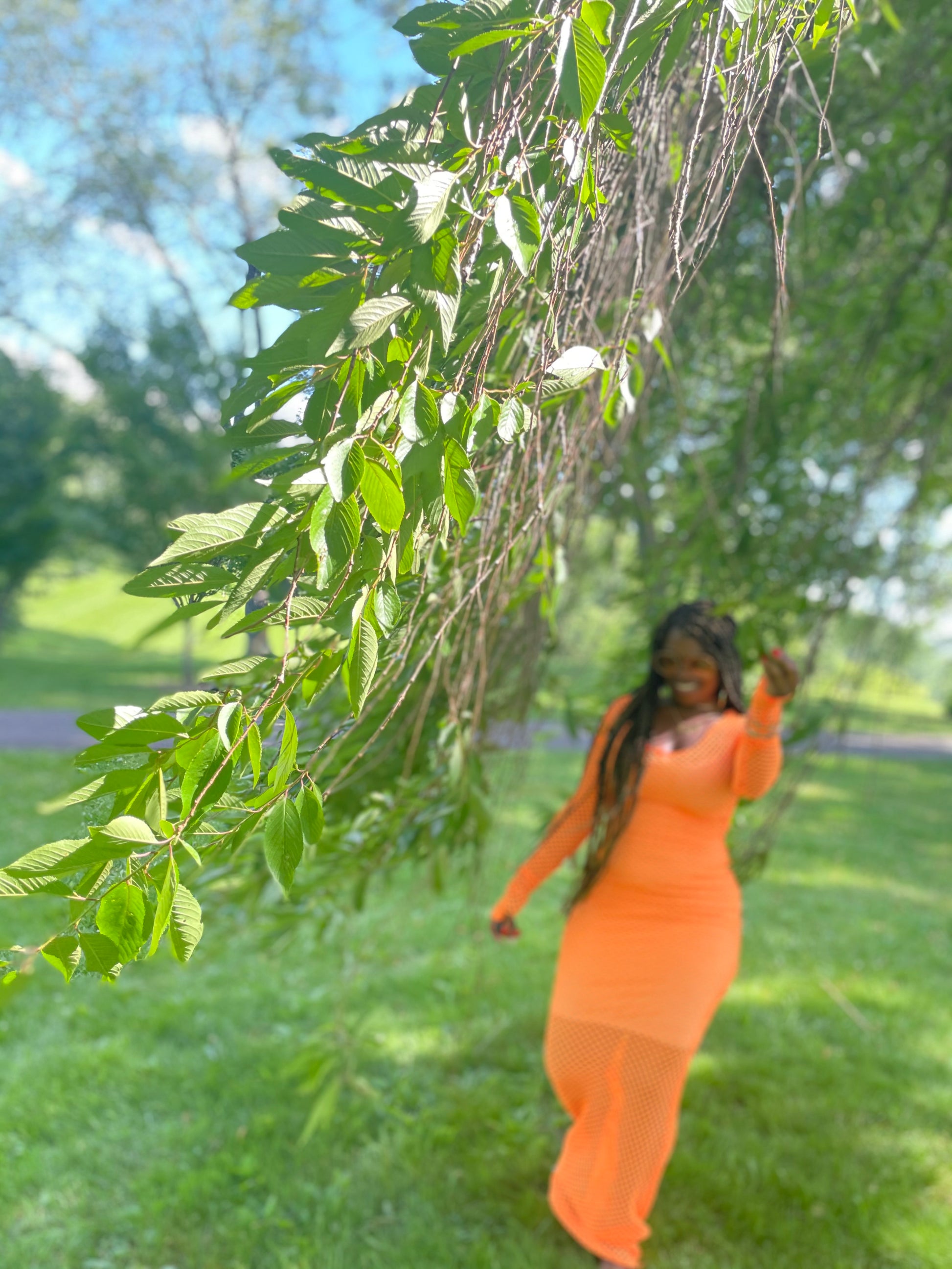 Mesh Maxi Dress in Orange