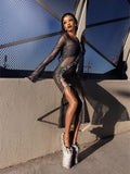 Long Sleeve Mesh Dress In Metallic Black