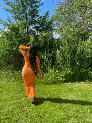 Mesh Maxi Dress in Orange